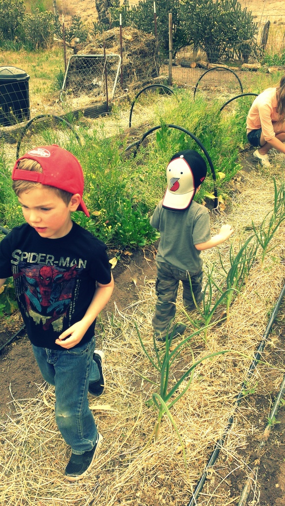 nephews, gardening
