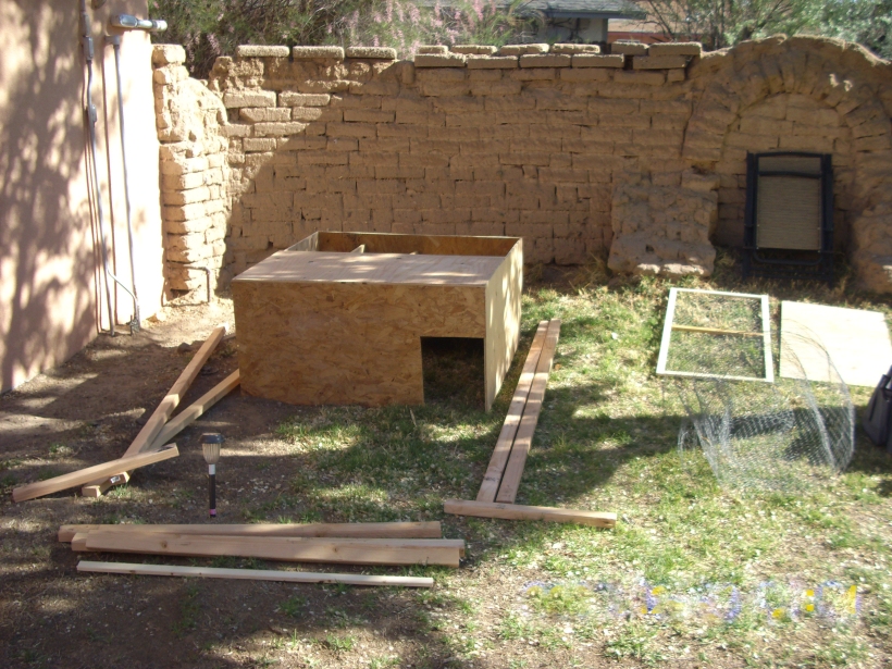 chicken coop, building, chickens